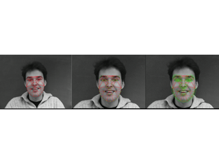 Image Alignment in the IMM Face Database