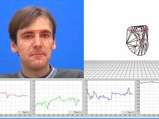 Pose Estimation in the FGNET Talking Face Video Sequence